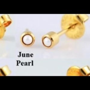 NWT Woman Fashion Stud Earrings